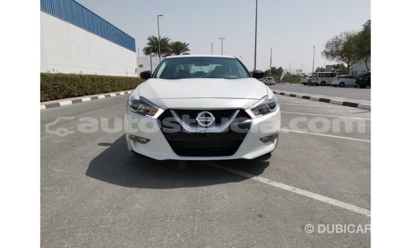 Acheter Import Voiture Nissan Maxima Blanc à Import - Dubai, Anse-la-Raye Acheter Import Voiture Nissan Maxima Blanc à Import - Dubai, Anse-la-Raye