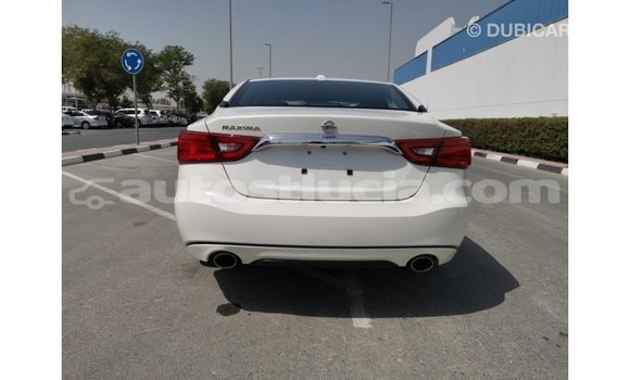 Acheter Import Voiture Nissan Maxima Blanc à Import - Dubai, Anse-la-Raye Acheter Import Voiture Nissan Maxima Blanc à Import - Dubai, Anse-la-Raye