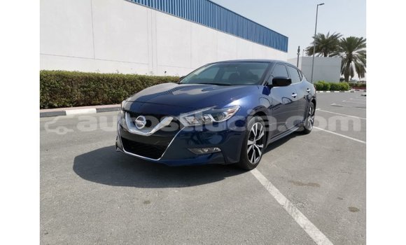 Buy Import Nissan Maxima Blue Car in Import - Dubai in Anse-la-Raye Buy Import Nissan Maxima Blue Car in Import - Dubai in Anse-la-Raye