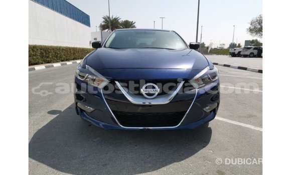 Buy Import Nissan Maxima Blue Car in Import - Dubai in Anse-la-Raye Buy Import Nissan Maxima Blue Car in Import - Dubai in Anse-la-Raye