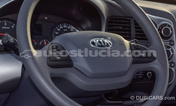 Buy Import Kia Rio White Car in Import - Dubai in Anse-la-Raye Buy Import Kia Rio White Car in Import - Dubai in Anse-la-Raye