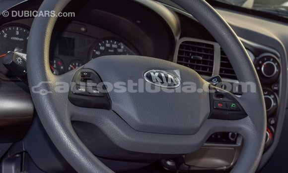 Acheter Import Voiture Kia K3 Blanc à Import - Dubai, Anse-la-Raye Acheter Import Voiture Kia K3 Blanc à Import - Dubai, Anse-la-Raye