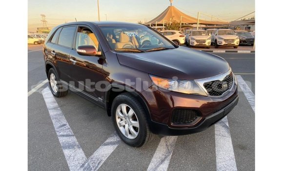 Buy Import Kia Sorento Brown Car in Import - Dubai in Anse-la-Raye Buy Import Kia Sorento Brown Car in Import - Dubai in Anse-la-Raye