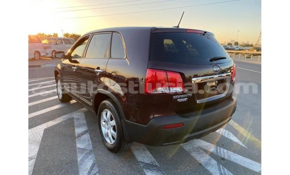 Buy Import Kia Sorento Brown Car in Import - Dubai in Anse-la-Raye Buy Import Kia Sorento Brown Car in Import - Dubai in Anse-la-Raye