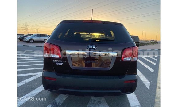 Buy Import Kia Sorento Brown Car in Import - Dubai in Anse-la-Raye Buy Import Kia Sorento Brown Car in Import - Dubai in Anse-la-Raye