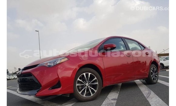 Buy Import Toyota Corolla Red Car in Import - Dubai in Anse-la-Raye Buy Import Toyota Corolla Red Car in Import - Dubai in Anse-la-Raye
