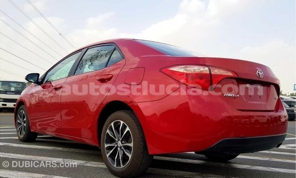 Buy Import Toyota Corolla Red Car in Import - Dubai in Anse-la-Raye Buy Import Toyota Corolla Red Car in Import - Dubai in Anse-la-Raye