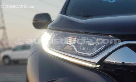 Buy Import Honda C Other Bike in Import - Dubai in Anse-la-Raye Buy Import Honda C Other Bike in Import - Dubai in Anse-la-Raye