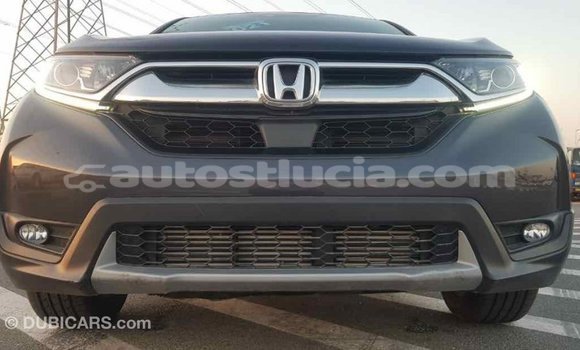 Buy Import Honda C Other Bike in Import - Dubai in Anse-la-Raye Buy Import Honda C Other Bike in Import - Dubai in Anse-la-Raye