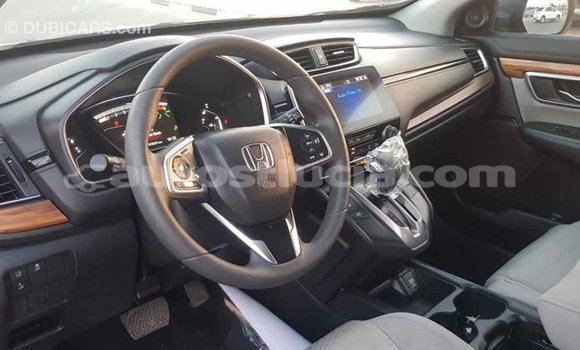 Buy Import Honda C Other Bike in Import - Dubai in Anse-la-Raye Buy Import Honda C Other Bike in Import - Dubai in Anse-la-Raye