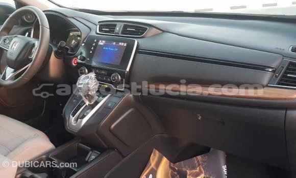 Buy Import Honda C Other Bike in Import - Dubai in Anse-la-Raye Buy Import Honda C Other Bike in Import - Dubai in Anse-la-Raye