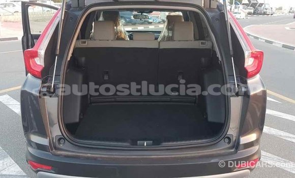 Buy Import Honda C Other Bike in Import - Dubai in Anse-la-Raye Buy Import Honda C Other Bike in Import - Dubai in Anse-la-Raye