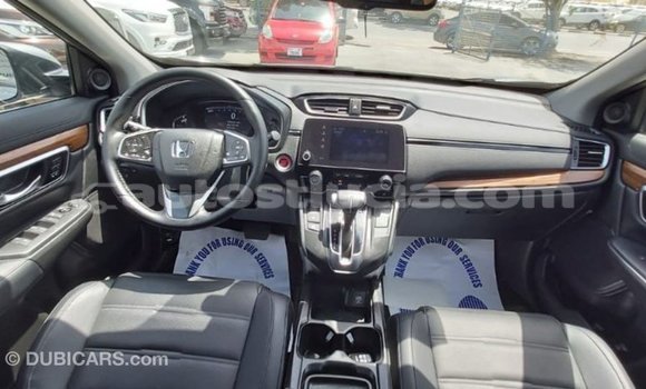 Buy Import Honda C Other Bike in Import - Dubai in Anse-la-Raye Buy Import Honda C Other Bike in Import - Dubai in Anse-la-Raye