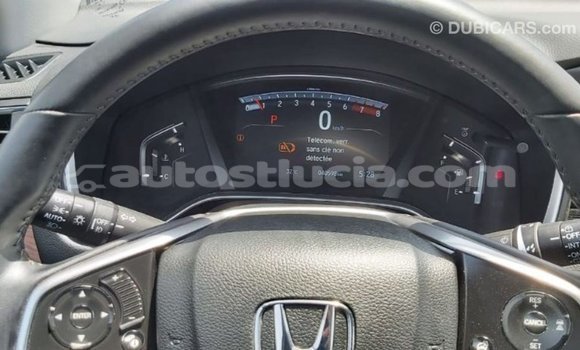 Buy Import Honda C Other Bike in Import - Dubai in Anse-la-Raye Buy Import Honda C Other Bike in Import - Dubai in Anse-la-Raye