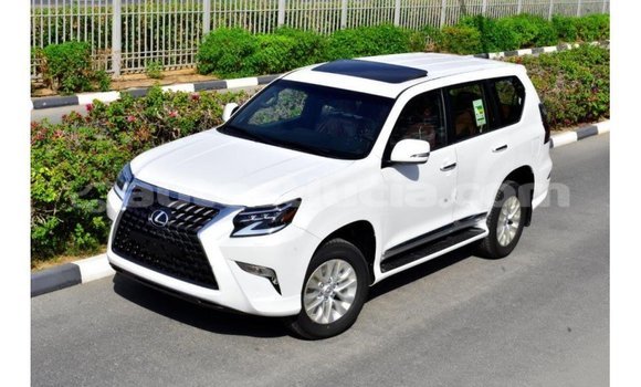 Acheter Import Voiture Lexus GX Blanc à Import - Dubai, Anse-la-Raye Acheter Import Voiture Lexus GX Blanc à Import - Dubai, Anse-la-Raye