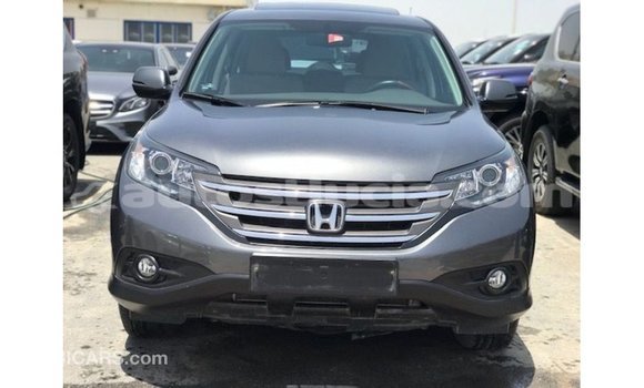 Buy Import Honda C Other Bike in Import - Dubai in Anse-la-Raye Buy Import Honda C Other Bike in Import - Dubai in Anse-la-Raye