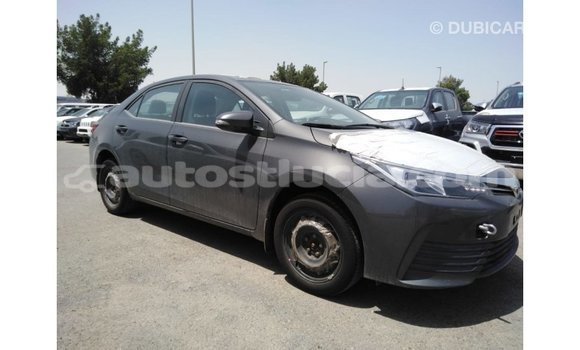Buy Import Toyota Corolla Other Car in Import - Dubai in Anse-la-Raye Buy Import Toyota Corolla Other Car in Import - Dubai in Anse-la-Raye