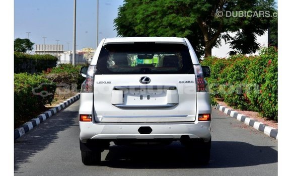 Acheter Import Voiture Lexus GX Blanc à Import - Dubai, Anse-la-Raye Acheter Import Voiture Lexus GX Blanc à Import - Dubai, Anse-la-Raye