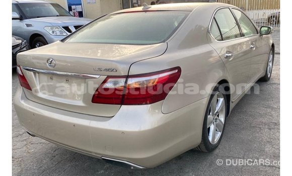 Buy Import Lexus LS Other Car in Import - Dubai in Anse-la-Raye Buy Import Lexus LS Other Car in Import - Dubai in Anse-la-Raye