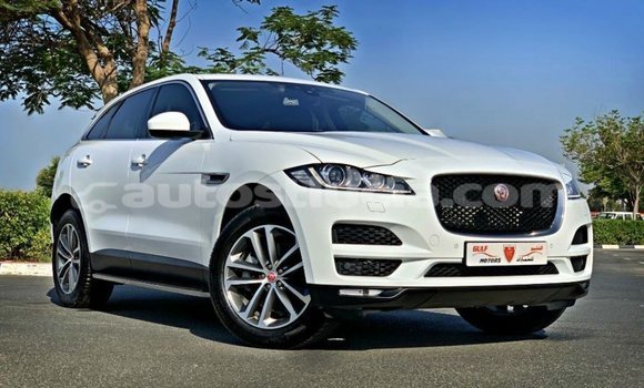 Buy Import Jaguar F-Pace White Car in Import - Dubai in Anse-la-Raye