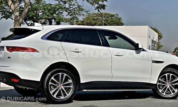 Buy Import Jaguar F-Pace White Car in Import - Dubai in Anse-la-Raye Buy Import Jaguar F-Pace White Car in Import - Dubai in Anse-la-Raye