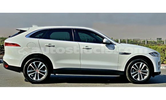 Buy Import Jaguar F-Pace White Car in Import - Dubai in Anse-la-Raye Buy Import Jaguar F-Pace White Car in Import - Dubai in Anse-la-Raye