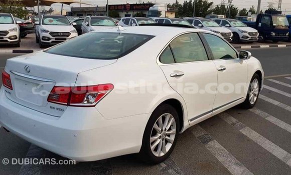 Buy Import Lexus ES White Car in Import - Dubai in Anse-la-Raye Buy Import Lexus ES White Car in Import - Dubai in Anse-la-Raye