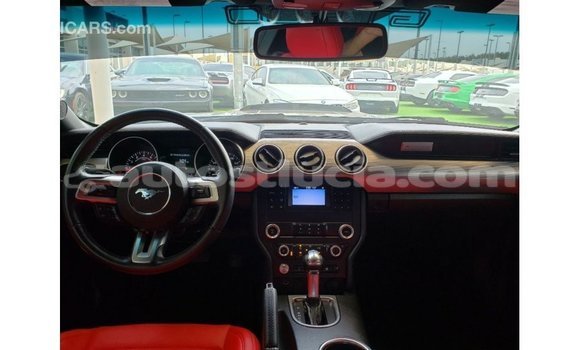 Buy Import Ford Mustang Blue Car in Import - Dubai in Anse-la-Raye Buy Import Ford Mustang Blue Car in Import - Dubai in Anse-la-Raye