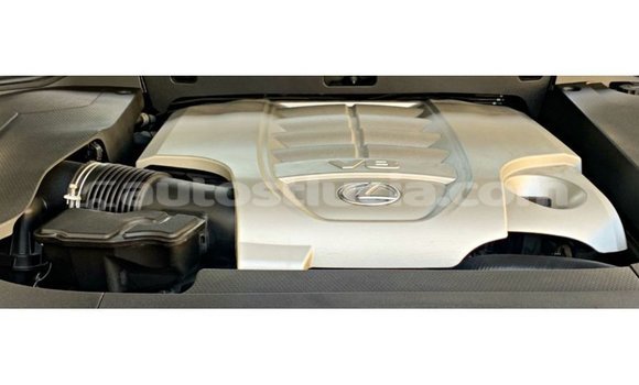 Buy Import Lexus LX Other Car in Import - Dubai in Anse-la-Raye Buy Import Lexus LX Other Car in Import - Dubai in Anse-la-Raye