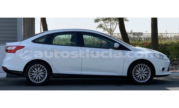 Buy Import Ford Focus White Car in Import - Dubai in Anse-la-Raye Buy Import Ford Focus White Car in Import - Dubai in Anse-la-Raye