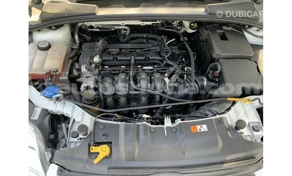 Buy Import Ford Focus White Car in Import - Dubai in Anse-la-Raye Buy Import Ford Focus White Car in Import - Dubai in Anse-la-Raye