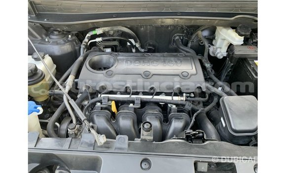 Buy Import Kia Sportage Black Car in Import - Dubai in Anse-la-Raye Buy Import Kia Sportage Black Car in Import - Dubai in Anse-la-Raye