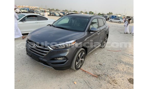 Buy Import Hyundai Tucson Other Car in Import - Dubai in Anse-la-Raye Buy Import Hyundai Tucson Other Car in Import - Dubai in Anse-la-Raye