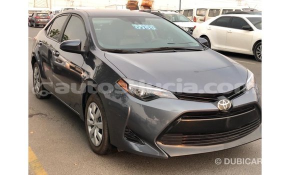 Buy Import Toyota Corolla Other Car in Import - Dubai in Anse-la-Raye Buy Import Toyota Corolla Other Car in Import - Dubai in Anse-la-Raye