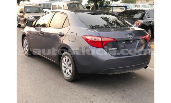 Buy Import Toyota Corolla Other Car in Import - Dubai in Anse-la-Raye Buy Import Toyota Corolla Other Car in Import - Dubai in Anse-la-Raye