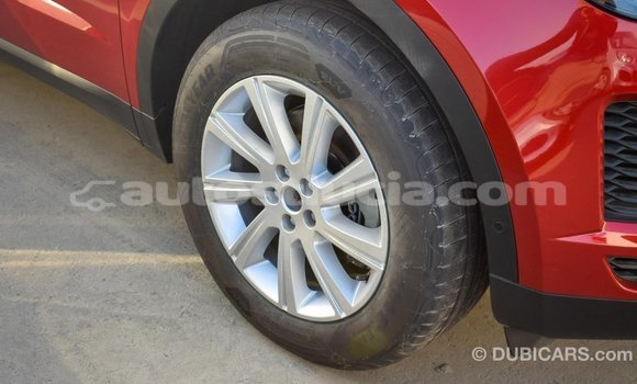 Buy Import Jaguar E-Pace Red Car in Import - Dubai in Anse-la-Raye