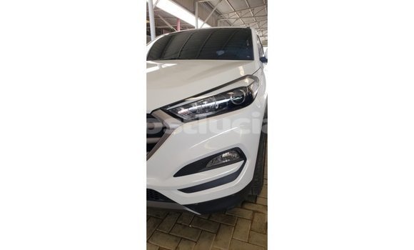 Buy Import Hyundai Tucson White Car in Import - Dubai in Anse-la-Raye Buy Import Hyundai Tucson White Car in Import - Dubai in Anse-la-Raye