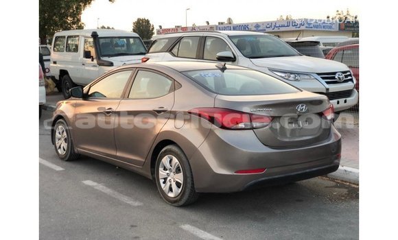 Buy Import Hyundai Elantra Brown Car in Import - Dubai in Anse-la-Raye Buy Import Hyundai Elantra Brown Car in Import - Dubai in Anse-la-Raye