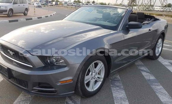 Buy Import Ford Mustang Other Car in Import - Dubai in Anse-la-Raye Buy Import Ford Mustang Other Car in Import - Dubai in Anse-la-Raye
