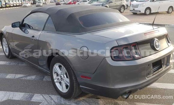 Buy Import Ford Mustang Other Car in Import - Dubai in Anse-la-Raye Buy Import Ford Mustang Other Car in Import - Dubai in Anse-la-Raye