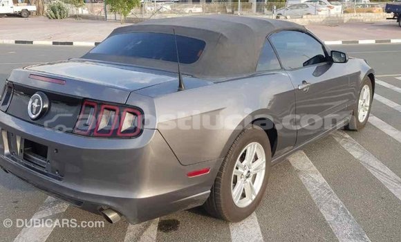 Buy Import Ford Mustang Other Car in Import - Dubai in Anse-la-Raye Buy Import Ford Mustang Other Car in Import - Dubai in Anse-la-Raye