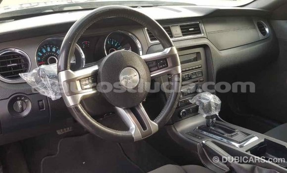 Buy Import Ford Mustang Other Car in Import - Dubai in Anse-la-Raye Buy Import Ford Mustang Other Car in Import - Dubai in Anse-la-Raye