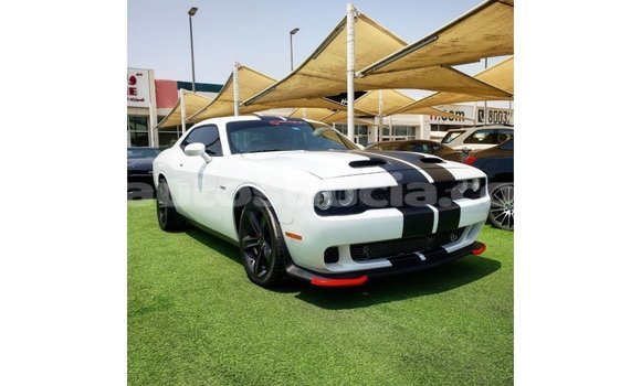 Buy Import Dodge Challenger White Car in Import - Dubai in Anse-la-Raye Buy Import Dodge Challenger White Car in Import - Dubai in Anse-la-Raye