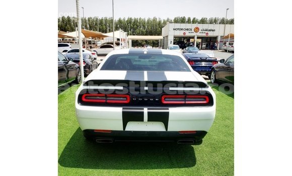 Buy Import Dodge Challenger White Car in Import - Dubai in Anse-la-Raye Buy Import Dodge Challenger White Car in Import - Dubai in Anse-la-Raye