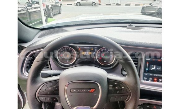 Buy Import Dodge Challenger White Car in Import - Dubai in Anse-la-Raye Buy Import Dodge Challenger White Car in Import - Dubai in Anse-la-Raye