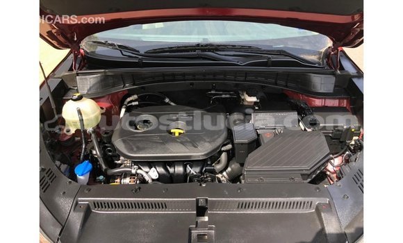 Buy Import Hyundai Tucson Red Car in Import - Dubai in Anse-la-Raye Buy Import Hyundai Tucson Red Car in Import - Dubai in Anse-la-Raye