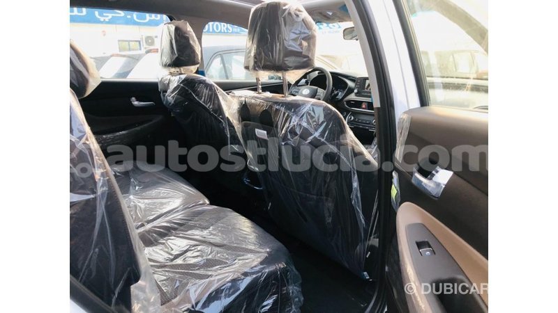 Big with watermark hyundai santa fe anse la raye import dubai 3461