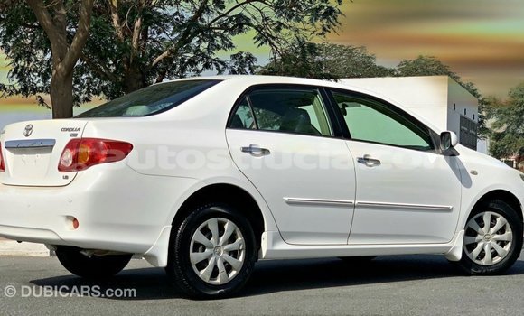 Buy Import Toyota Corolla White Car in Import - Dubai in Anse-la-Raye Buy Import Toyota Corolla White Car in Import - Dubai in Anse-la-Raye