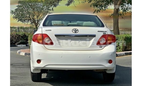 Buy Import Toyota Corolla White Car in Import - Dubai in Anse-la-Raye Buy Import Toyota Corolla White Car in Import - Dubai in Anse-la-Raye