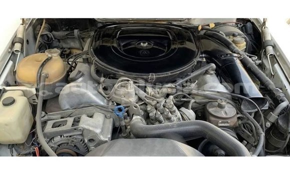 Buy Import Mercedes-Benz 190 (W201) White Car in Import - Dubai in Anse-la-Raye Buy Import Mercedes-Benz 190 (W201) White Car in Import - Dubai in Anse-la-Raye